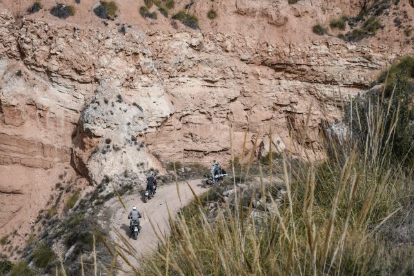 Desert Special Tour Feb 2023 - Image 2