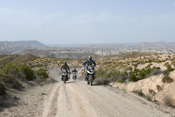 Desert Special Tour Feb 2023